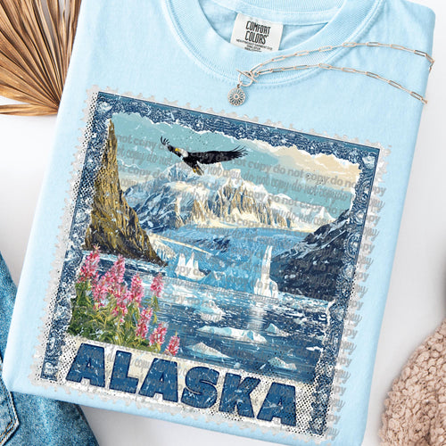 Alaska Graphic Tee product image 1