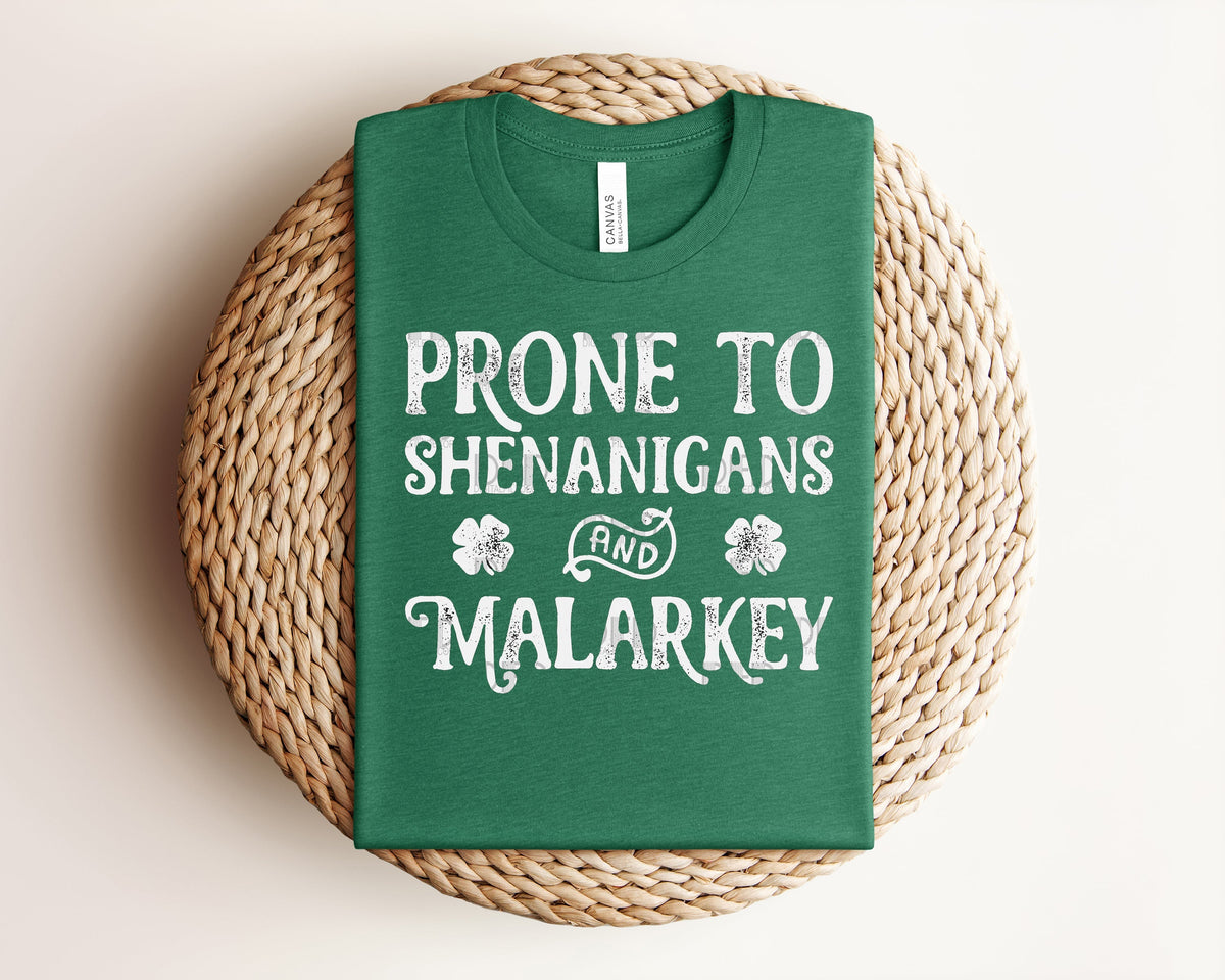 Prone to Shenanigans and Malarkey Graphic Tee product image 1