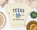Texas the Lonestar State Graphic Tee product image 1